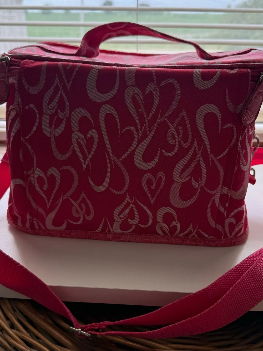 Pink Patterned Cosmetic Train Case with Matching Pouch - Pink
